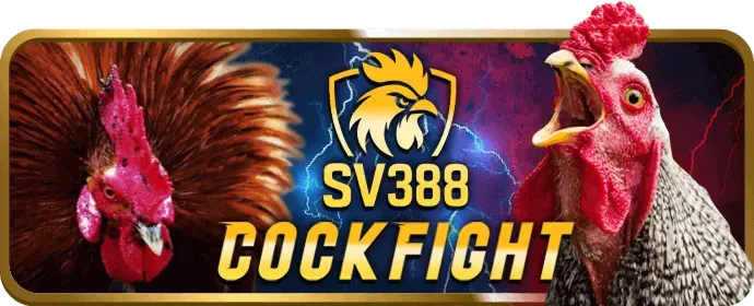 Quản lý vốn chơi nổ hũ tin888 nổ hũ